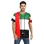 National Flag of the United Arab Emirates