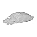 144 pcs Saliva Ejector Screen Trap