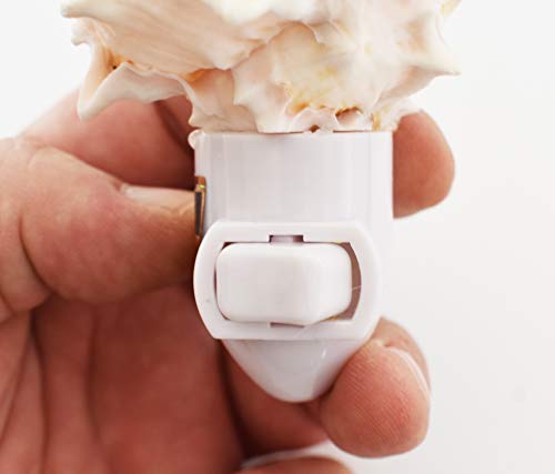 Florida Shells And Gifts Inc. ND0026001 Seashell Night Light Real Pink Murex Shell Beach Decor W. On/Off Switch Beautiful Coastal Cottage thumb #2