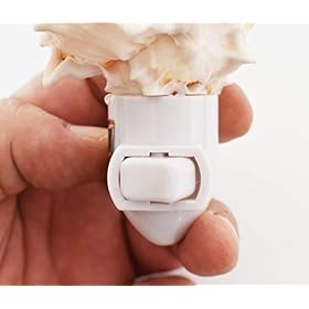 Seashell Night Light Real Pink Murex Shell Beach Decor w. on/Off Switch Beautiful Coastal Cottage