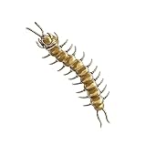 Centipede Button Cover, Retro Brass Active Centipede Button Clip-On for Shirt Decor,Punk Alternative Fashion Animal Collar Clothing Brooch Accessory,Unique Vintage-Inspired Gift for Men & Women(1PCS)