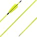 XTCXCARCHERY 31.5