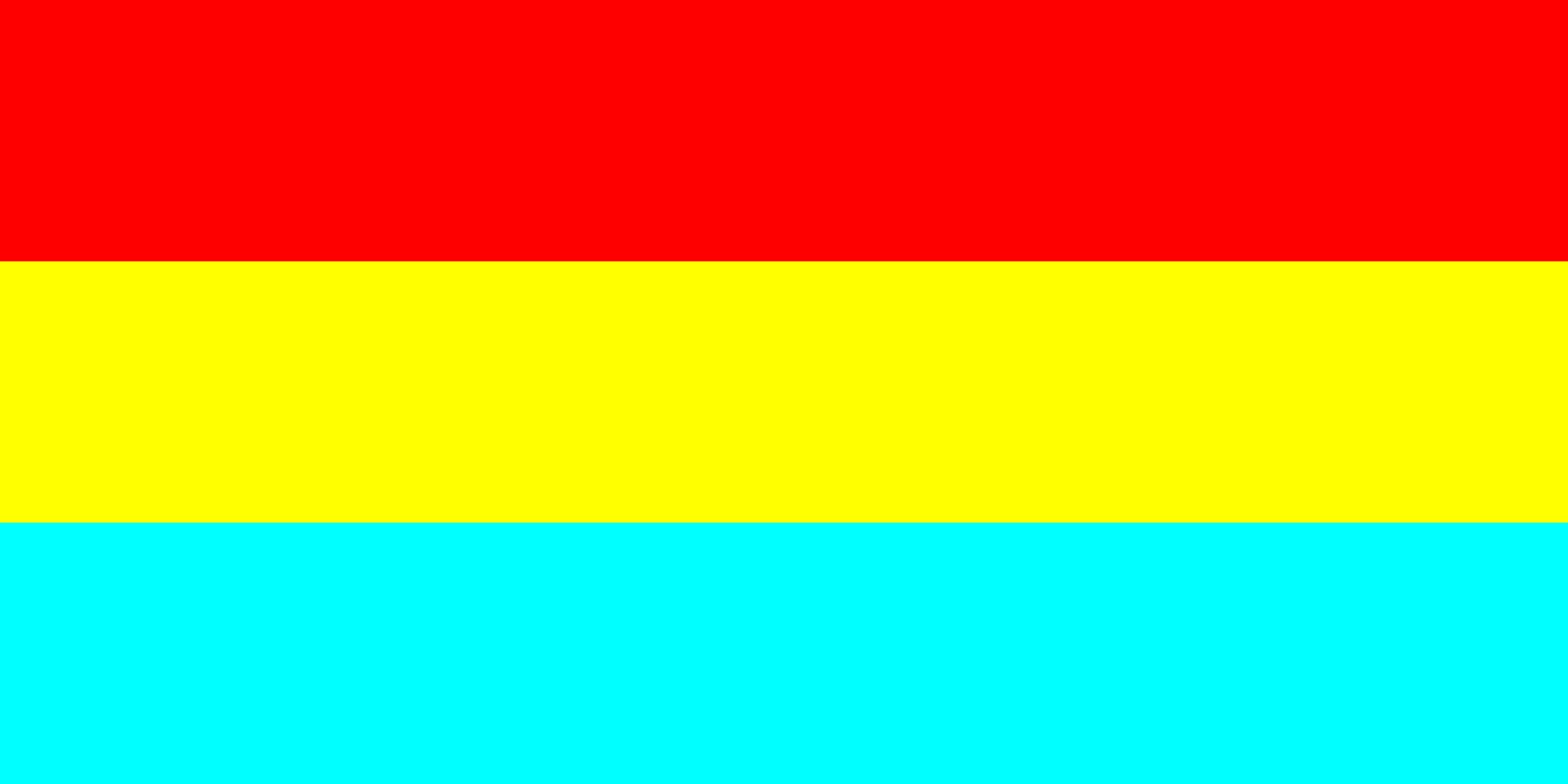 Drapeau Large Cochin 80x160cm de format paysage résistant pour mât