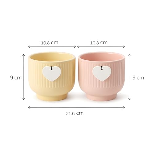 Image of Xtore Elegant Ribbed Ceramic Planter Set for Indoor Plants | Minimalist Decorative Flower Pots for Home, Office Desk & Shelf Styling (Pack of 2, Planters only)