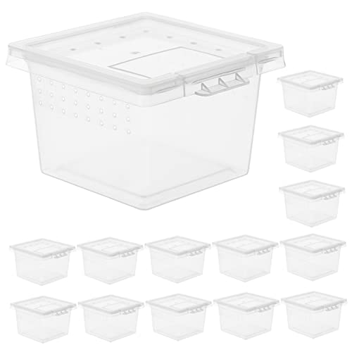 Totority 20Pcs Transparent Reptile Breeding Boxes Multi Use Lizard Cage for Gecko Snake Amphibians Insects PP Material Observation Enclosure