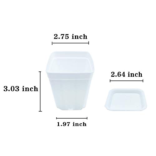 24 Pack 3 Inch Square Nursery Flower Pots,Plastic Plant Pot With Saucer,Seedling Nursery Transplanting Planter Container For Home,Company,Office And Garden(White) #TOP1