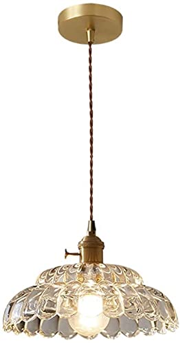 Lampe à Suspension en Fer Forgé et Verre, Lustre de Plafond Raffiné