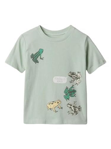 Gap Baby-Boys Short Sleeve Graphic Tee
