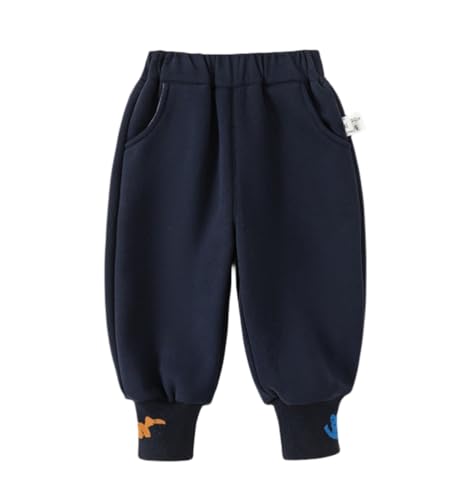 Småfolk Jungen Hose Mit Zugband - Dinosaurier Sweatpants