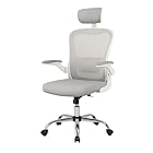 Cadeira De Escritório Ergonômica Giratória G100 Com Estofado Mesh Encosto de Cabeça Costas Respiravel Luvinco Cor Cinza