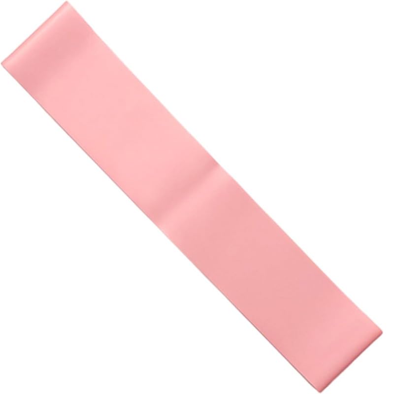 Single Exercise Band for Strength Training, Pink Resistance Band 23.6 x 2 Inches, Elastic Loop for Legs and Glutes, Sports Accessory