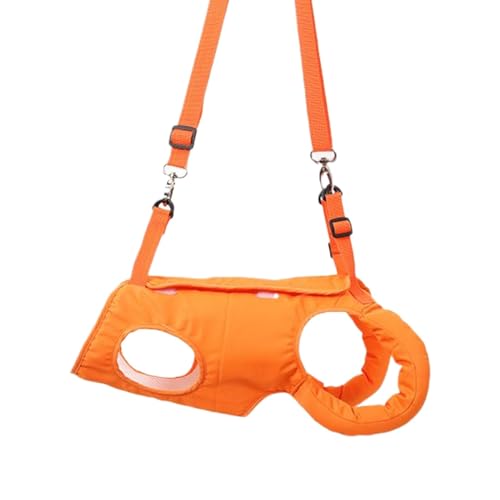 Phantasmia ptgn[lX ߉\ ʋC _݌v Vs⏕ AEghAΉ ^f (M)