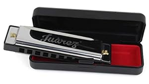 Juarez JRZ10HM Key C Diatonic Blues Harmonica 10 Hole 20 Tones with Case, Mouth Organ for Beginners, Students, Kids & Professionals, Silver