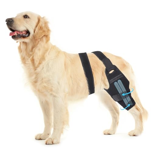 Image of Adjustable Dog ACL Knee Brace - Rear Leg Support for Cruciate Ligament Recovery, Arthritis & Joint Pain Relief (Left,XL)