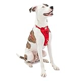 Kurgo Tru-Fit Hundegeschirr, Crash-Test-erprobtes Auto-Sicherheitsgurt, Für Hunde von 2 bis 5 kg,...