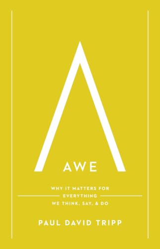 Awe (with Study Questions): Why It Matters for Everything We Think, Say, and Do