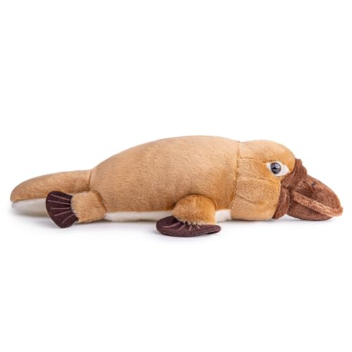 lilizzhoumax Schnabeltier Kuscheltier 35cm Kawaii Realistische Weiches Schnabeltier Plüschtier Plüsch Stofftier Spielzeug Kissen Dekoration Geburtstagsgeschenke für Kinder und Babys Mädchen Jungen
