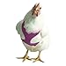 Chicken Harness (Purple, Medium)
