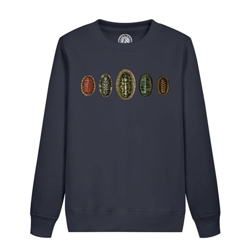 Sweat enfant mollusques vintage : cadeau original pour petit passionné de nature
