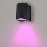 Ledvion