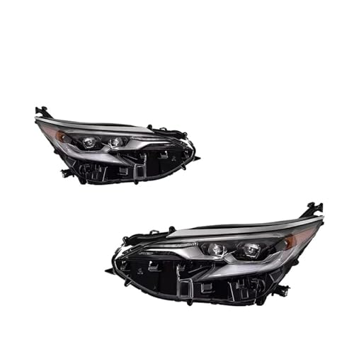 FTJ[Cg g^ VGi wbhCg 2021-2023 LEDvWFN^[wbhv fC^CjOCg ԃANZT[