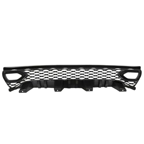 Maille capot d'admission de style course pour métamorphoser le look de votre Dodge Charger 2015+