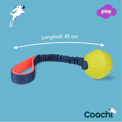Coachi Tuggi Ball, Robustes Design, leicht, sicher, dehnbarer Bungee-Griff, ideal für alle Hunde & Welpen, Belohnungstraining, Rückruftraining, Unterbinden von Beißen & Kauen. Ideal für Agility.