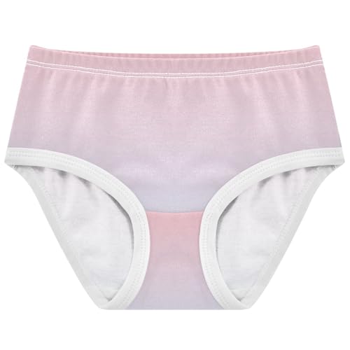 Joisal Designer Toddlers Underwear Floral 2t Cotton Panties for Girl Blush Pink Elegant Blue Gradient Briefs Undies Kids