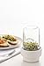Kilner 0.5L Sprouting Set Glass Jar with Stainless Steel Lid Ceramic Base & Recipe Booklet Ideal for Growing Broccoli Beans Radish Lentils BPA-Free Sustainable Dishwasher Safe