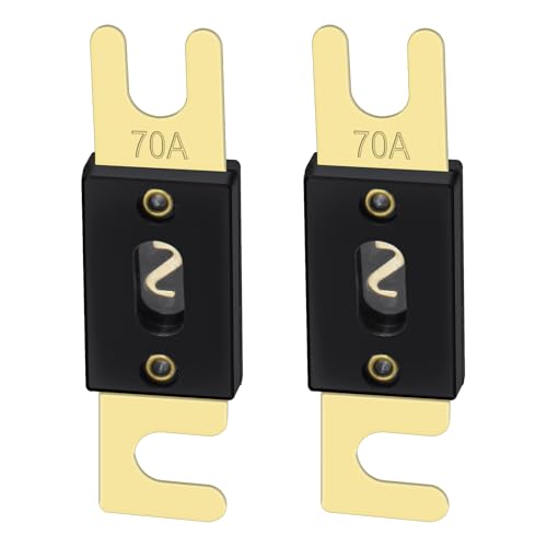 Heschen ANL Fuse ANL-70 70 Amp for Car Vehicles Audio System Sheet Gold Tone & Black 2 Pack