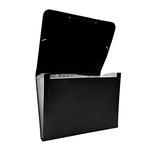 Raylu Paper® - Carpeta clasificadora tipo acordeón para documentos con 12 compartimentos, archivador de plástico opaco con separadores para oficina (Negro)