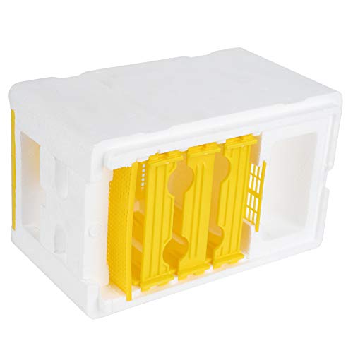 Haofy Bee Breeding Box Combs Construction Accessoire para Apicultor Apis Mellifera/China Bee Queen/Pet Group