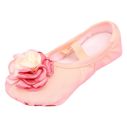 Girls Ballet Shoes Soft Dance Shoes Flower Ballet Slipper Daily Wear Yoga Shoe Flats for Toddler/Little Kid/Big Kid