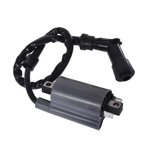 Bobina de encendido para Raptor 700 ideal para rutas todoterreno