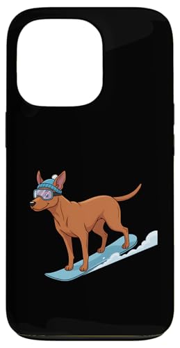 Xm[{[h  S[O jbgX ~ R Xm{ D Xm[X|[c ~ X}zP[X iPhone 13 Pro p