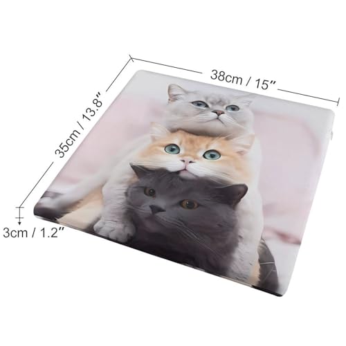 Coussin de chaise carré chat en mousse à mémoire de forme 38 cm