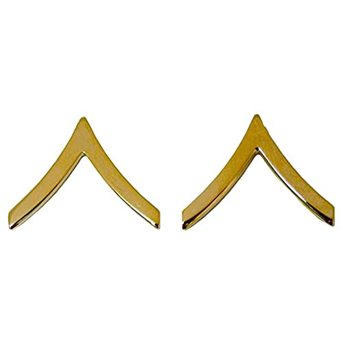 Army PVT Private Rank Gold Pin-ons - Pair