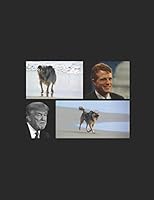 Juvia, Kennedy & the Trial and Confession of Trump 173106571X Book Cover