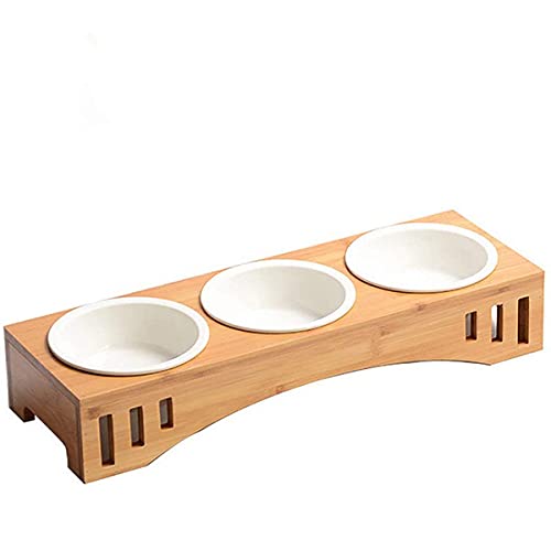 13 Best Elevated Cat Bowls Optimal Dining for Your Cat