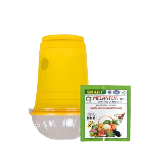 Smart Trap/IPM Trap/Glass Trap/Melon Fly Trap- Useful for Melon cucurbitae Bottle Guard All Vegetable, White;Yellow Pack of 01-image-25