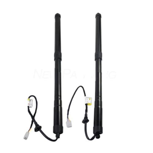 電動テールゲートストラット 車用リアリフトサポート 電動テールゲートスペーサー 6891048071 ラゲッジコンパートメントエアスプリング に適合する レクサス RX 2015-2022用 車用テールゲート ガスストラット(PAIR)