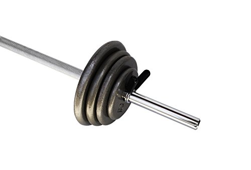 Ader Regular Barbell Set (100 Lbs Set) One Bar, 2 Spring Collars, 80 Lbs Plates