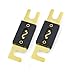 Baomain ANL Fuse ANL-60 60 Amp 60A for Car Vehicles Audio System Sheet Gold Tone 2 Pack