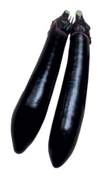 F1 Millionaire Eggplant 10 seeds