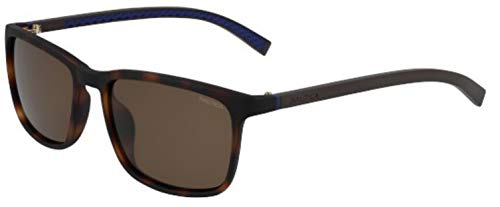 Nautica Men's N6242S Square Polarized Sunglasses, Matte Dark Tortoise/Solid Brown Polarized, 56 mm