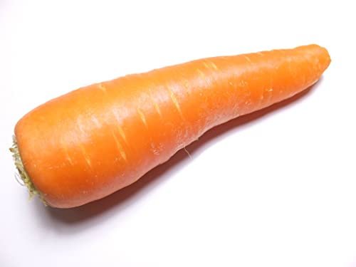 ys꒼szʌق lQiɂ񂶂jLTCY 1{ 150g x2Zbgy①z