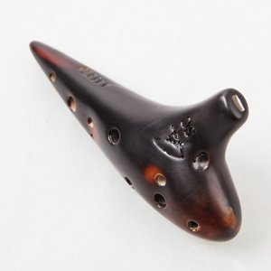 Amazon.com: Focalink Professional 12 Holes Soprano C Straw