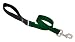 LupinePet Basics 1" Green 2-foot Traffic Lead/Leash for Medium and Larger Dogs