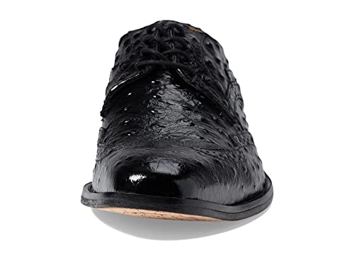 Image of Stacy Adams Men's, Gennaro Wingtip Oxford