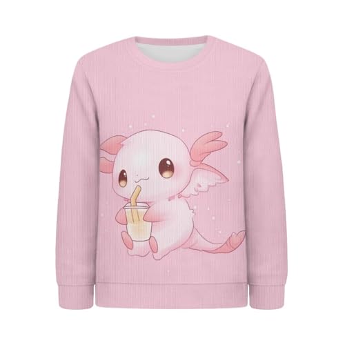 Girls and Toddlers' Sweaters Long Sleeve Sweaters Fall Clothes Casual Round Neck Pullover Sweaters Top 3-14T